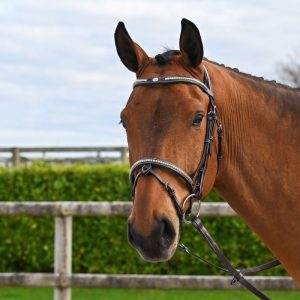 Bridon Clincher avec rênes Noisette - JPI