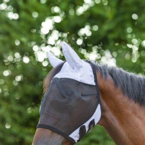 Masque Protection SuperFly