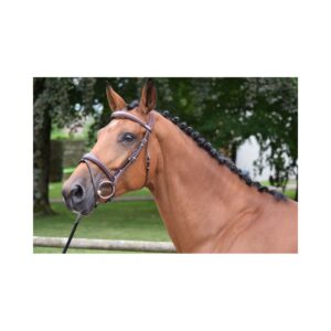 Bridon Bruxelles avec rênes Noisette