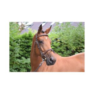 Bridon Paris avec rênes Noisette  - JPI