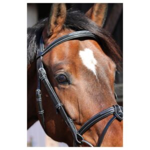 Bridon Paris avec rênes Noir  - JPI